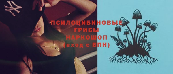 МДПВ Абинск