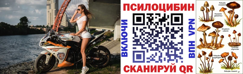 Псилоцибиновые грибы Magic Shrooms  Новопавловск 